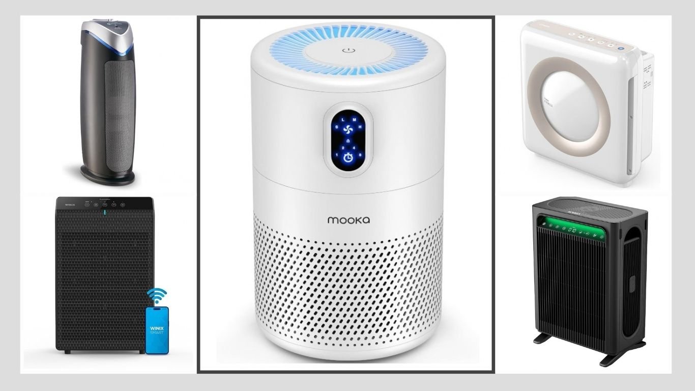 13 Best Air Purifiers for Dust Mites and Allergens