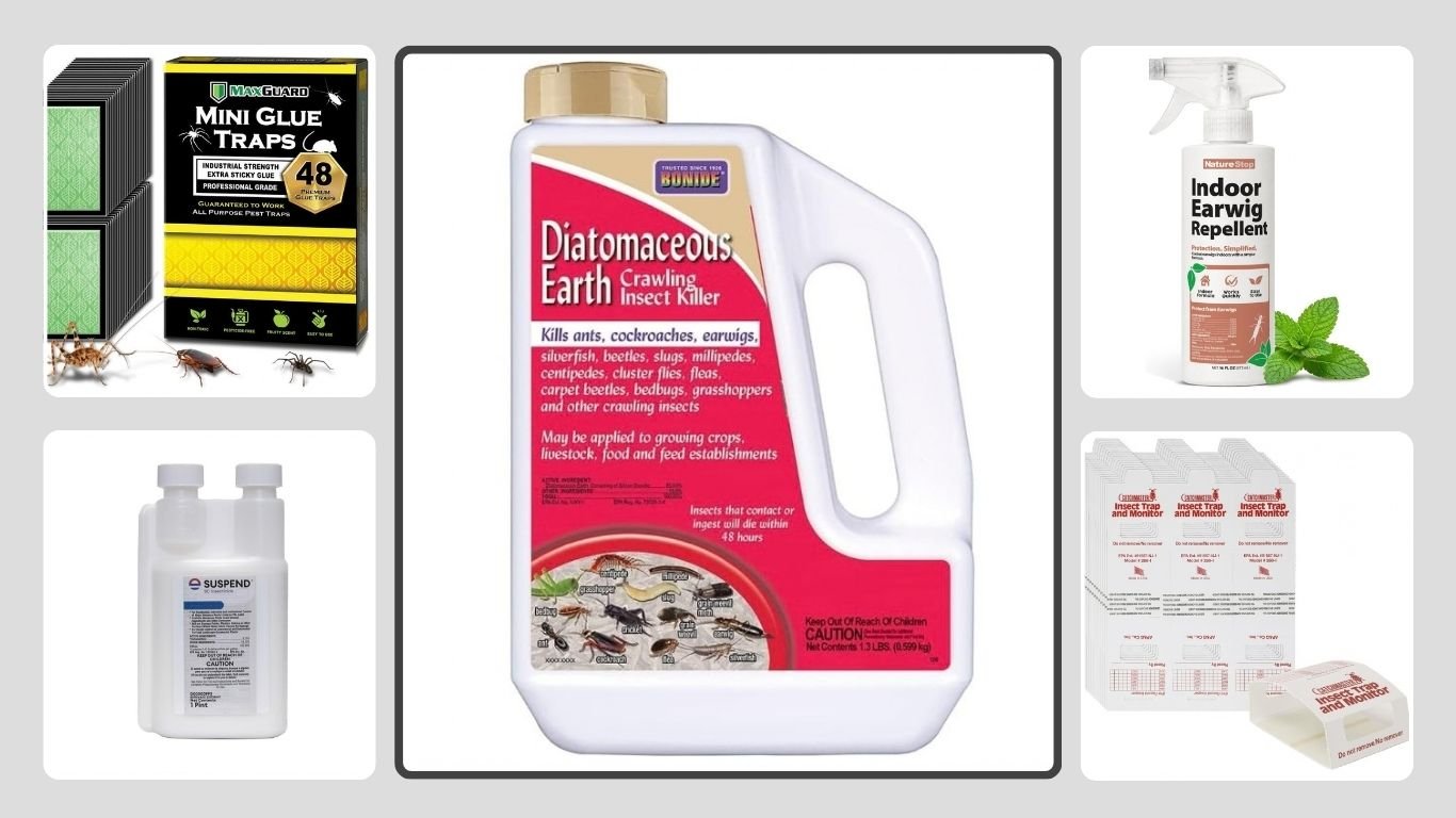 10 Best Earwig Insect Killer Traps & Sprays for Fast Control