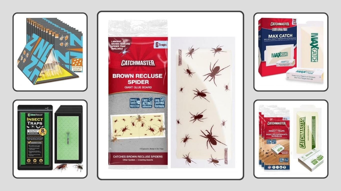 9 Best Sticky Traps for Earwigs for Easy Indoor Pest Control