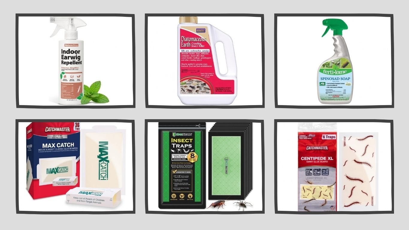 10 Best Earwig Extermination Traps and Sprays for Effective Pest Control
