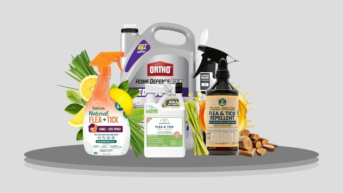 9 Best Flea Sprays for Home, Pets & Outdoor Use