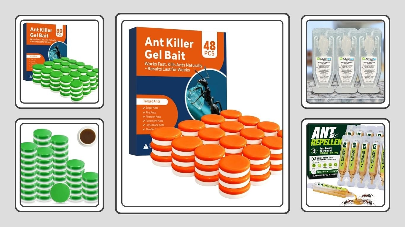 8 Best Carpenter Ant Bait Stations for Colony Control