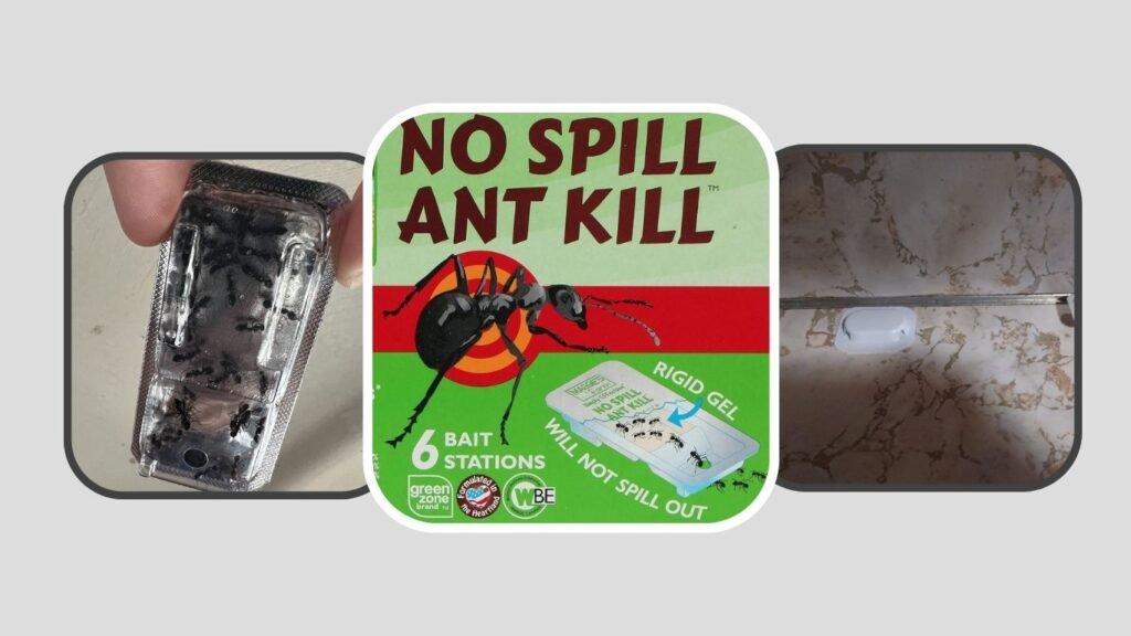 Maggie’s Farm Ant Bait Stations