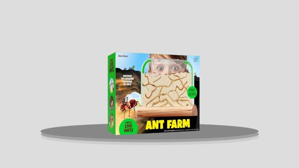 Ant Farm Kit for Kids – Educational Observation Habitat