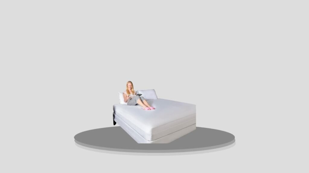 Mattressentials Zippered Queen Mattress Protector