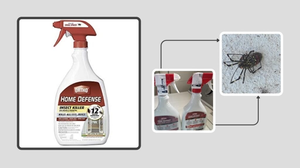 Ortho Home Defense Max Insect Killer