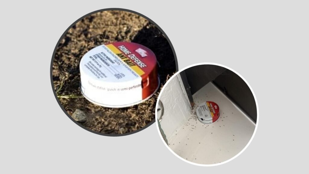 Ortho Home Defense Ant Killer