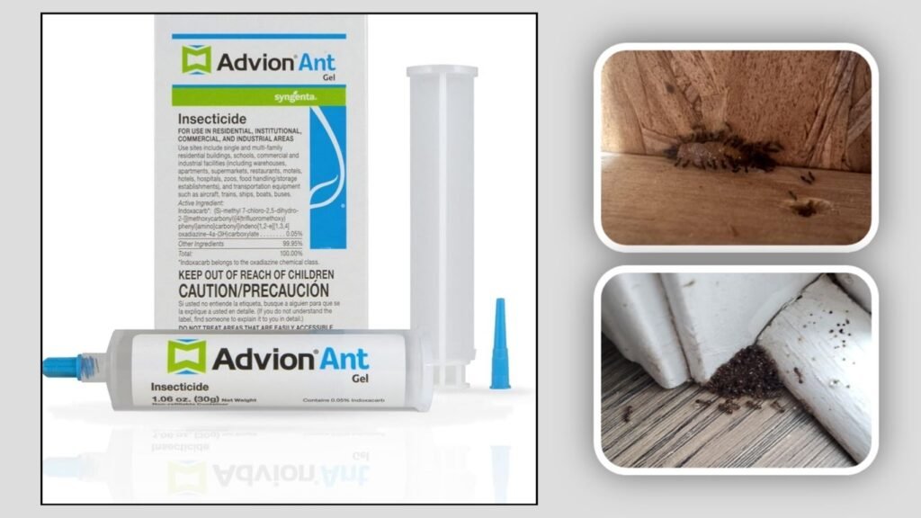 Syngenta Advion Ant Gel – Single Tube