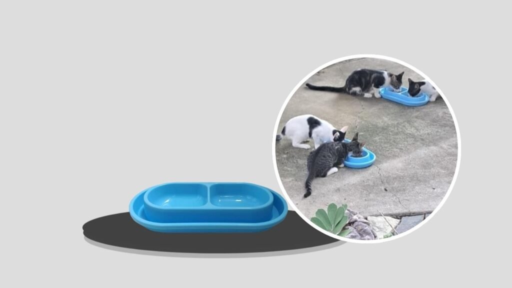 With You6688 Ant-Proof No-Spill Pet Bowl