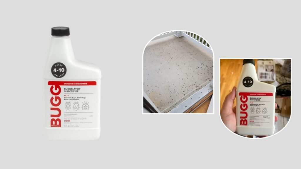 BUGGSLAYER Insecticide Concentrate – Best for Outdoor Lady Beetle Control