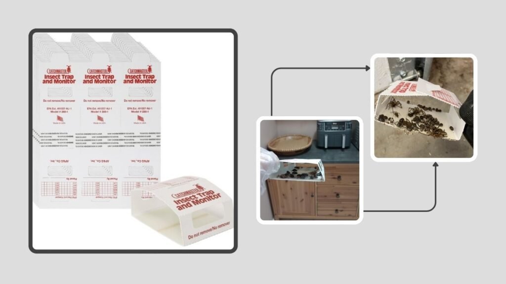 Catchmaster Spider, Roach & Insect Glue Traps