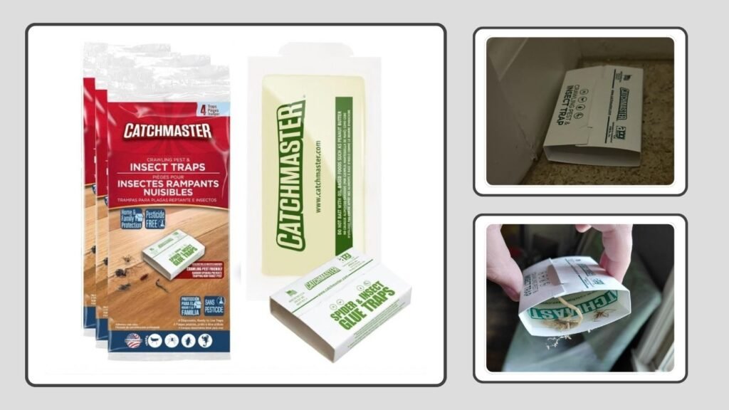 Catchmaster Crawling Pest & Insect Glue Traps