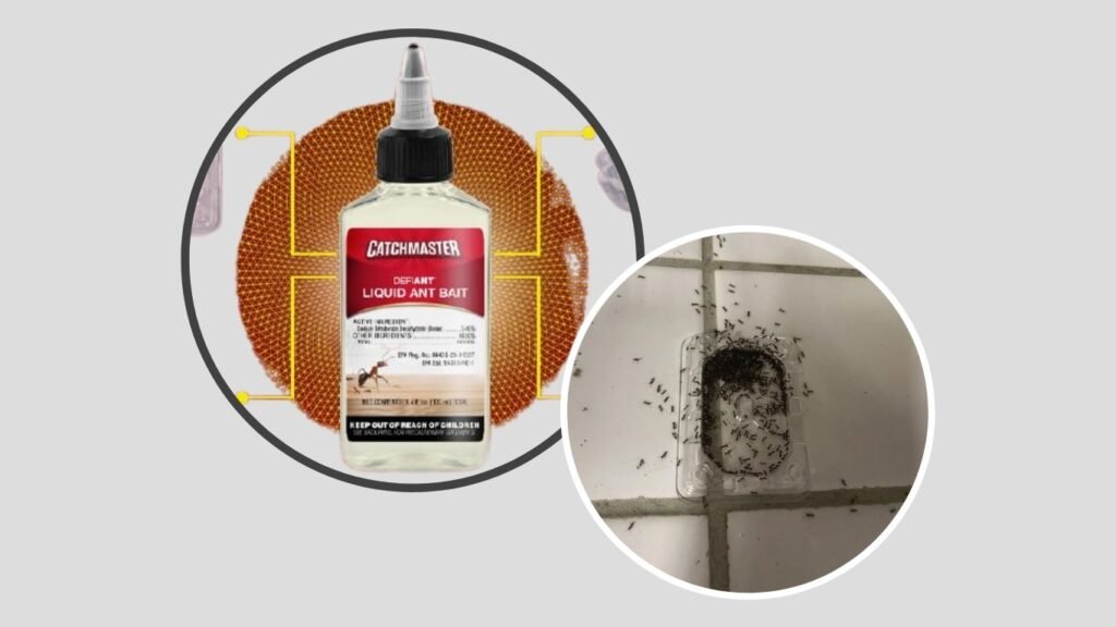 Catchmaster Defiant Premium Ant Traps