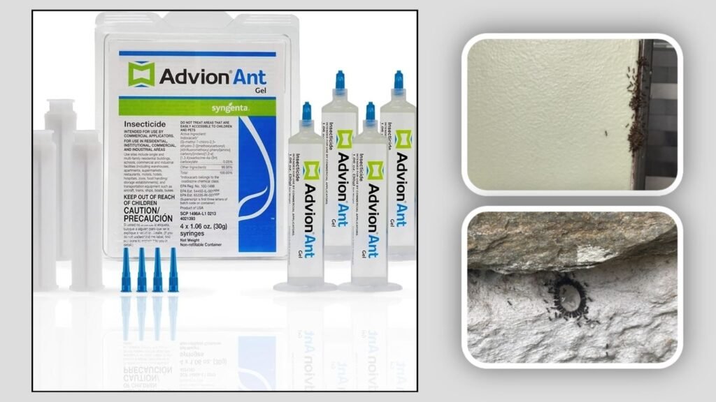 Advion Ant Gel – 30 Gram Syringe