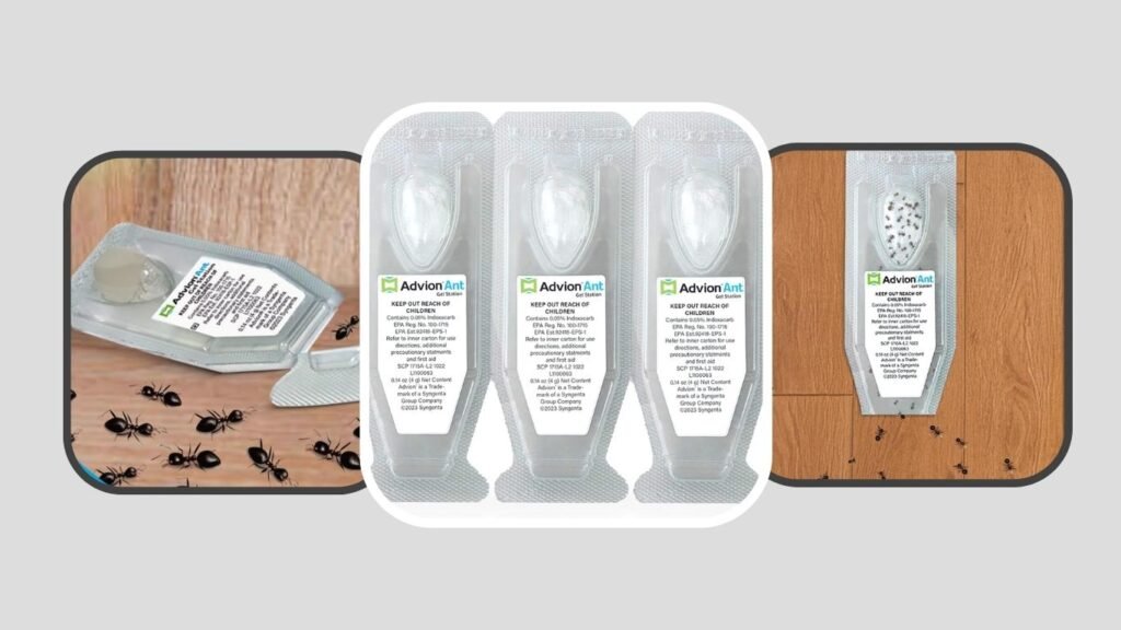Syngenta Advion Ant Bait Stations with Indoxacarb