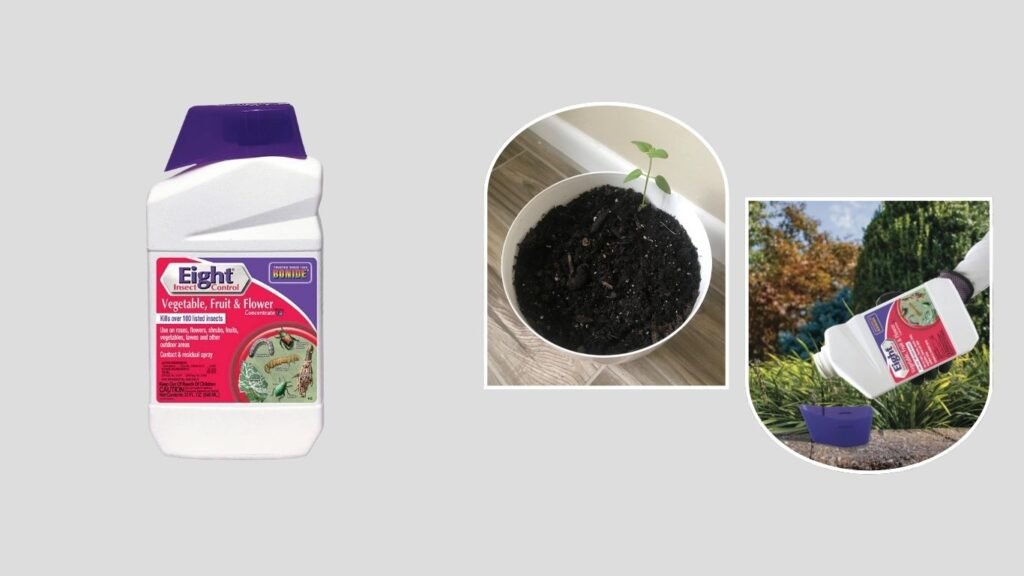 Bonide Eight Insect Control Concentrate – Best for Garden Beetle Control