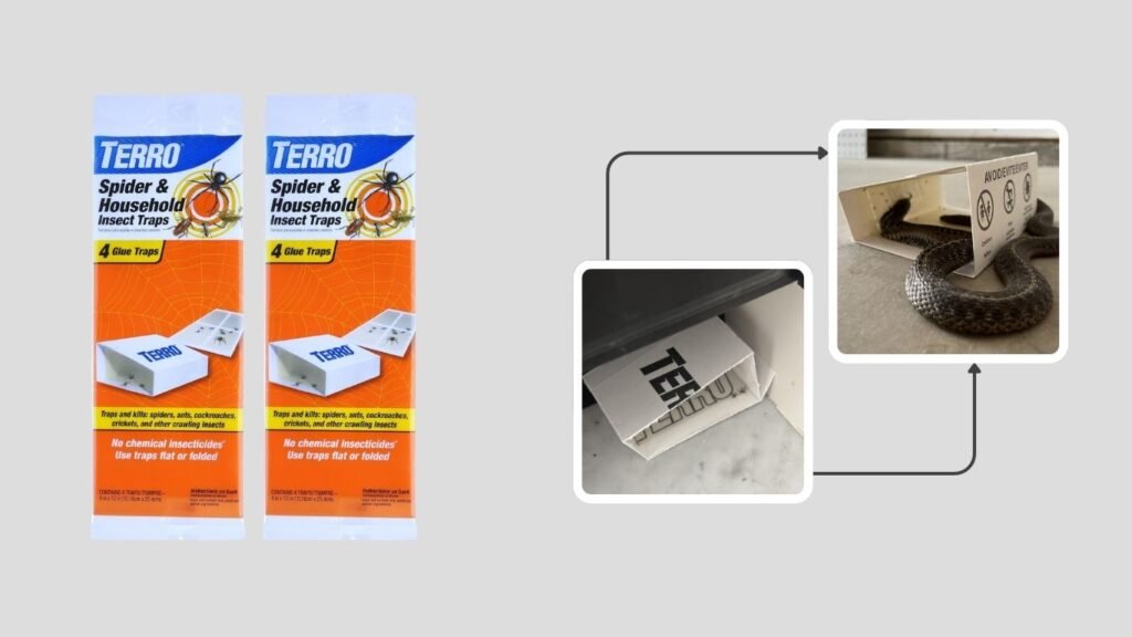 NatureStop Earwig Repellent Spray