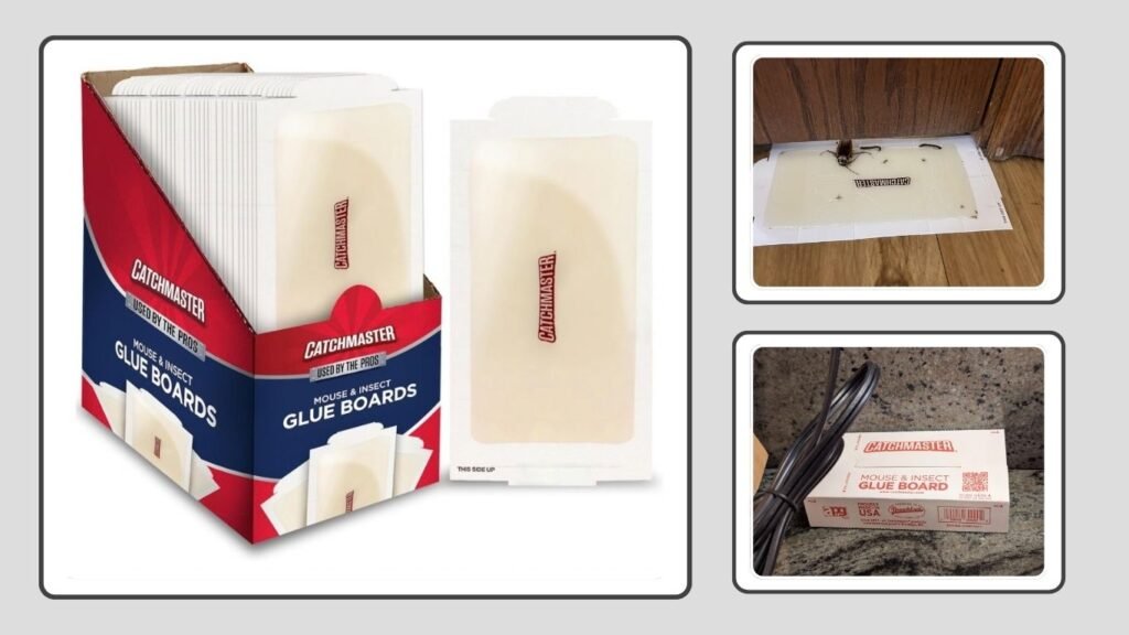Catchmaster Compact Sticky Insect & Mouse Glue Traps