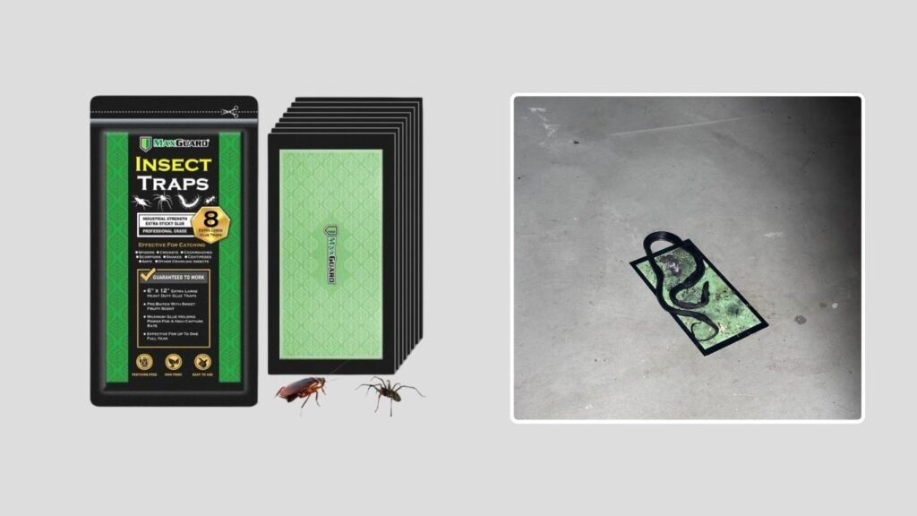 MaxGuard Extra Large Insect Glue Traps