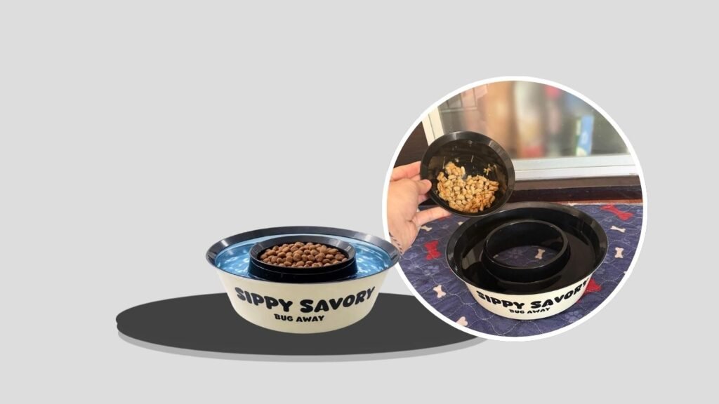 Sippy Savory Ant-Proof Dog & Cat Bowl