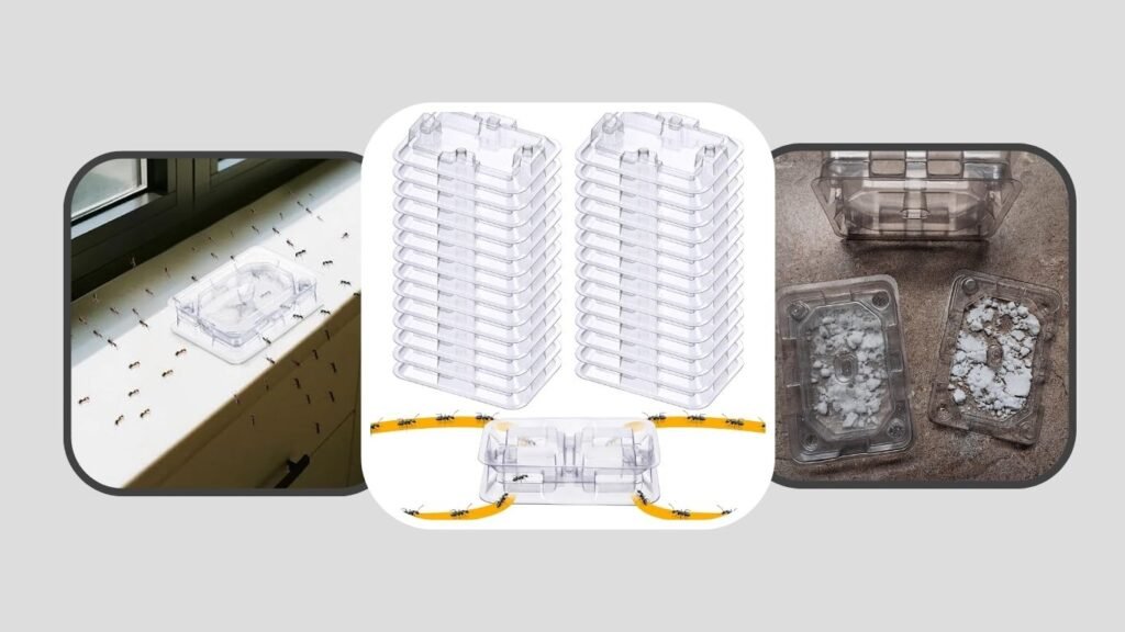 Qualirey Reusable Ant Bait Stations