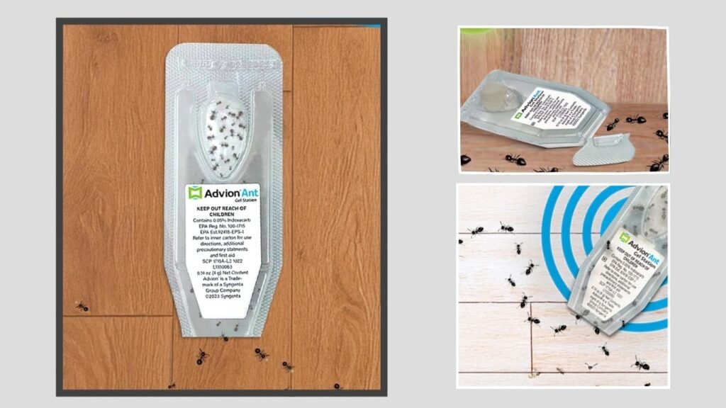 Syngenta Advion Ant Bait Stations with Indoxacarb