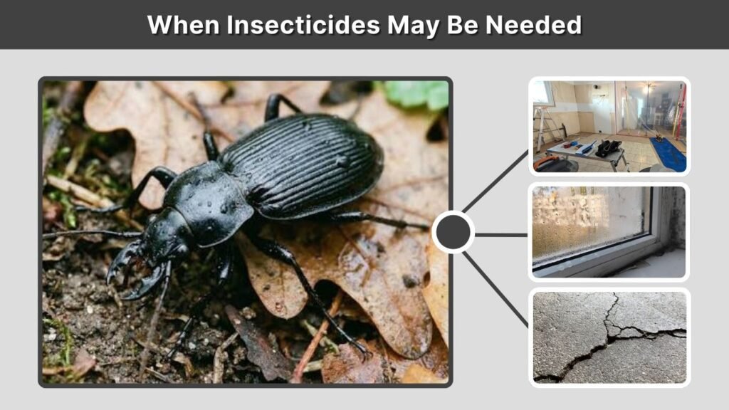 When Insecticides May Be Needed