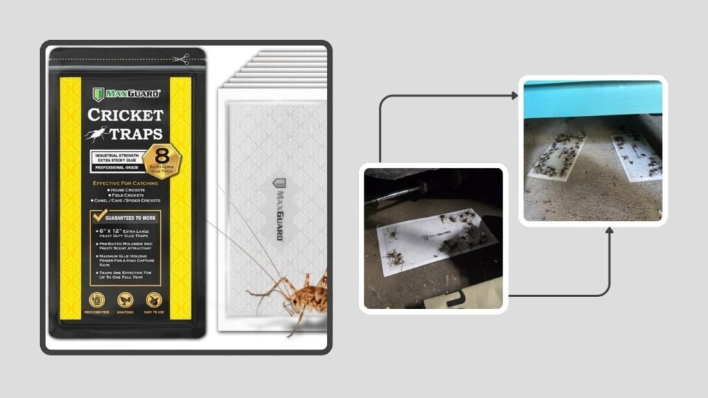 MaxGuard Extra-Large Pre-Baited Cricket & Insect Traps