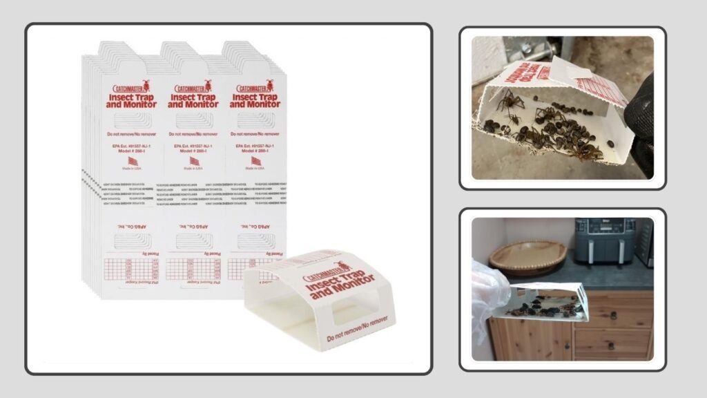 Catchmaster Spider & Insect Glue Traps