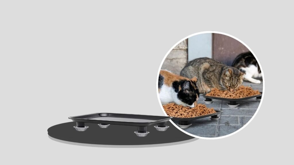 Marsui Adjustable Ant-Proof Pet Feeding Tray