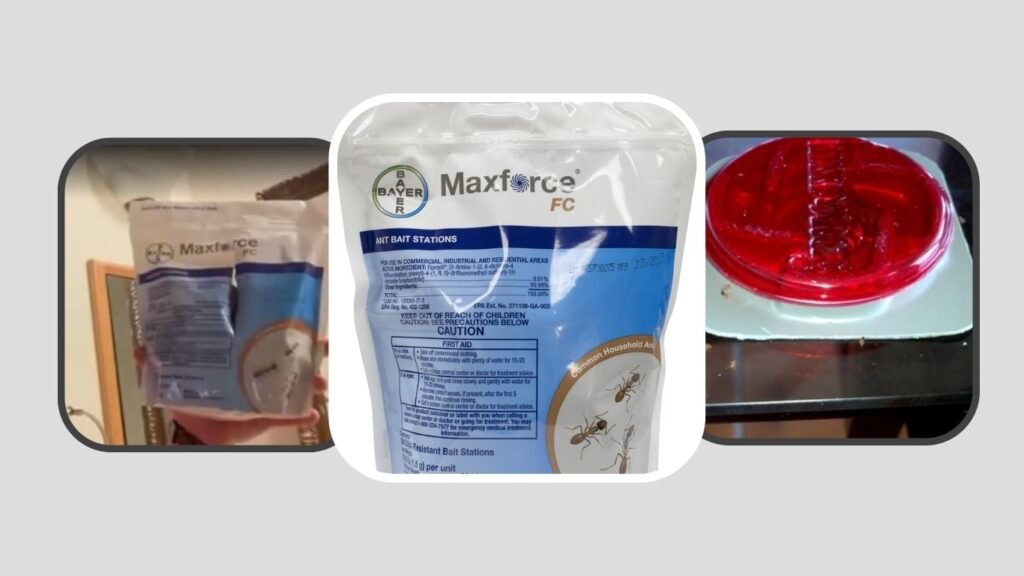 Maxforce Ant Bait Stations