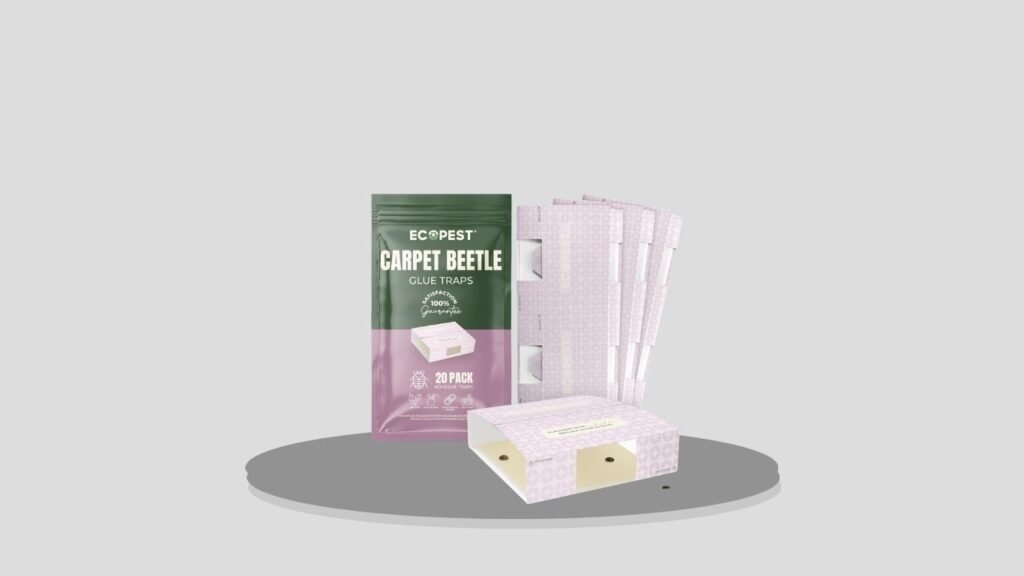 Carpet Beetle Traps for Crawling Insects