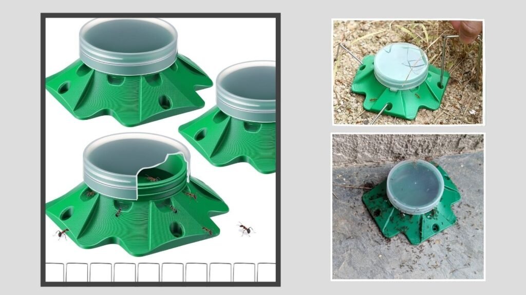 Qualirey Household Ant Bait Stations