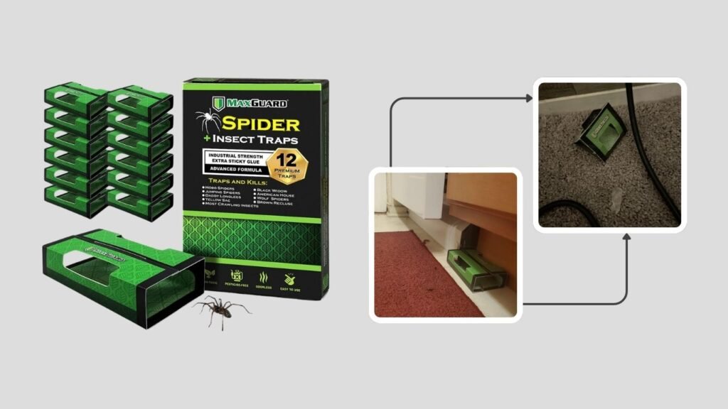 Ortho Home Defense Insect Killer for Indoor & Perimeter