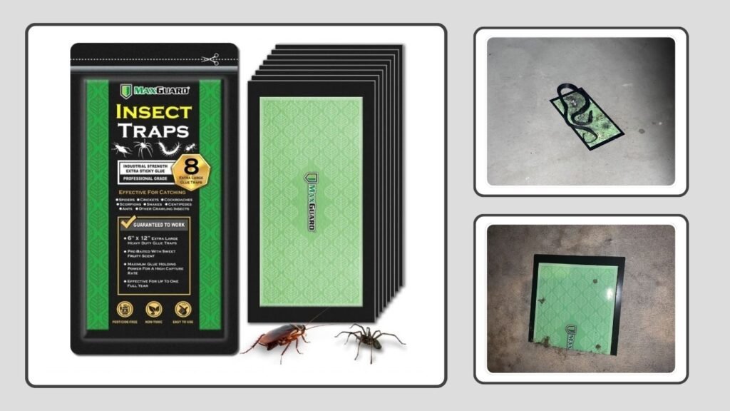 MaxGuard Extra Large Insect Glue Traps