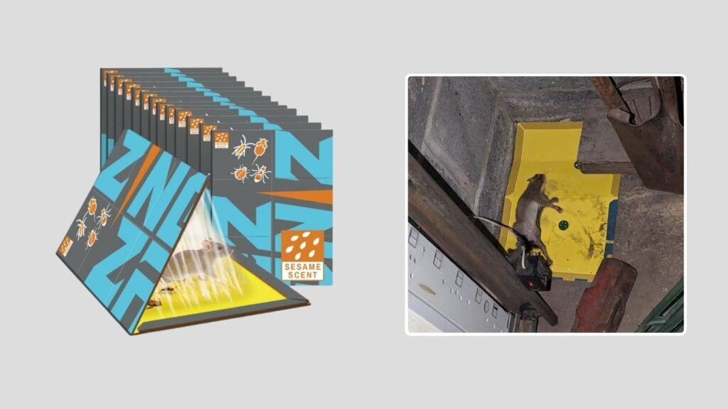 ZingZap Mouse & Insect Glue Traps