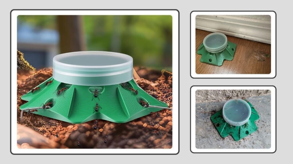 Qualirey Outdoor Ant Bait Stations