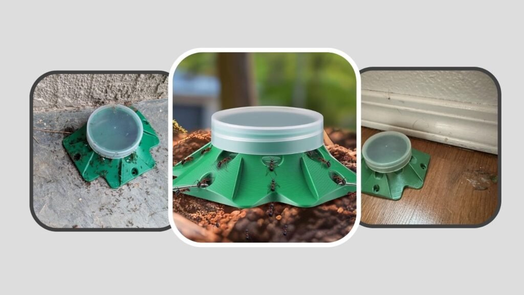 Qualirey Household Ant Bait Stations
