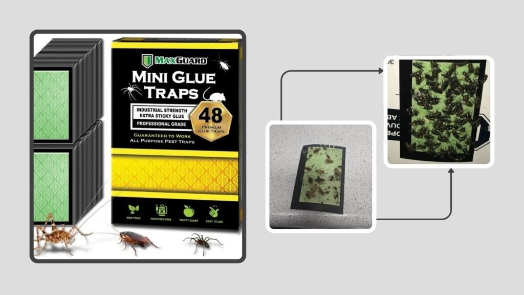 MaxGuard Mini Pre-Baited Glue Traps