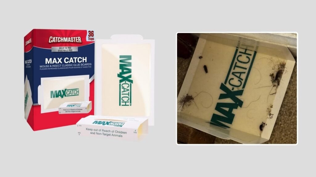 Catchmaster Max-Catch Mouse & Insect Glue Traps