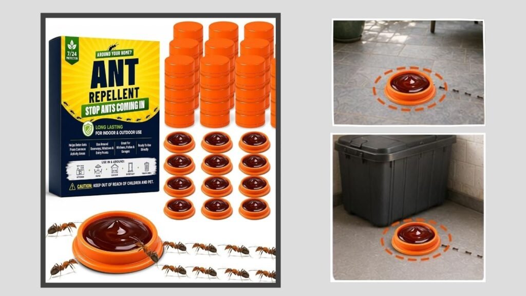 Long-Lasting Carpenter Ant Bait Stations