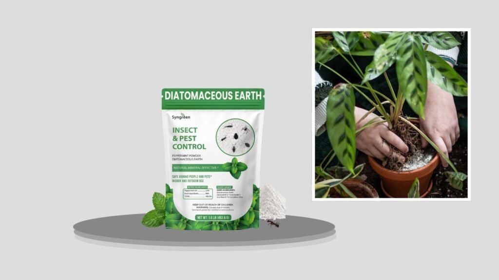 Diatomaceous Earth Powder with Peppermint