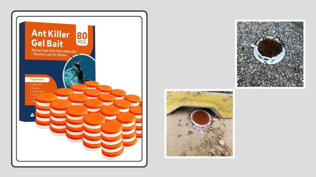 Strengthened Long-Lasting Carpenter Ant Bait Stations
