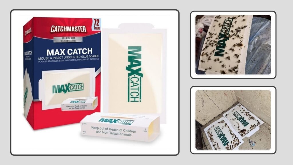 Catchmaster Max-Catch Mouse & Insect Glue Traps