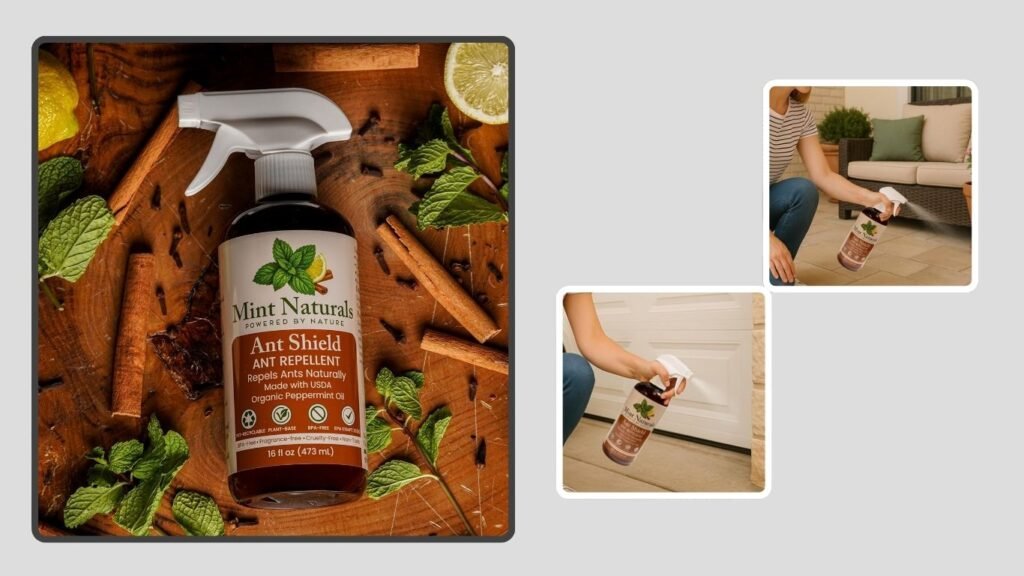  Natural Peppermint Ant Repellent Spray