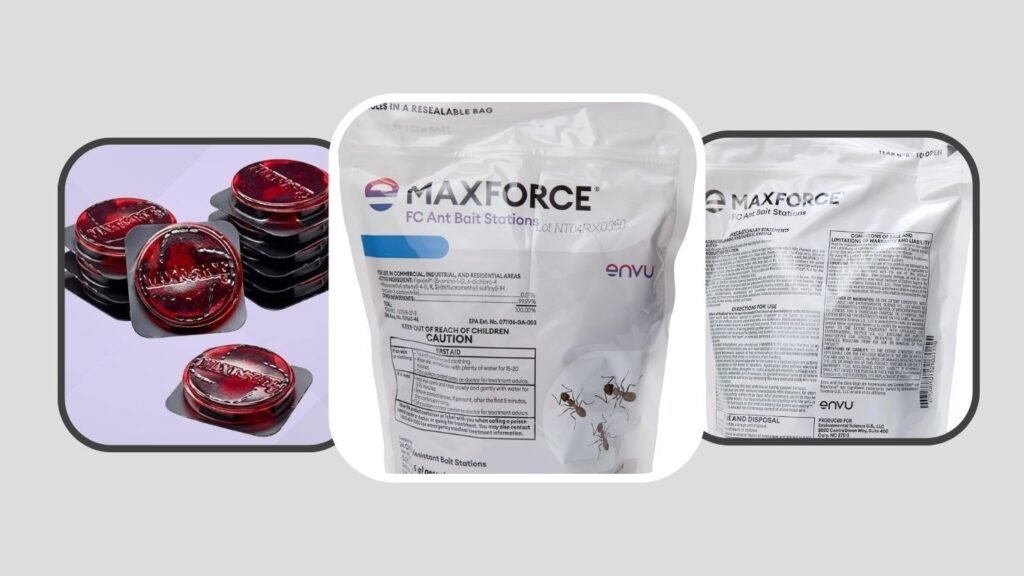 Maxforce Odorless Ant Bait Stations