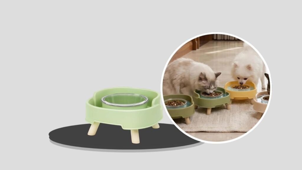 SXKBM Elevated Ant-Proof Glass Bowl Feeding Station