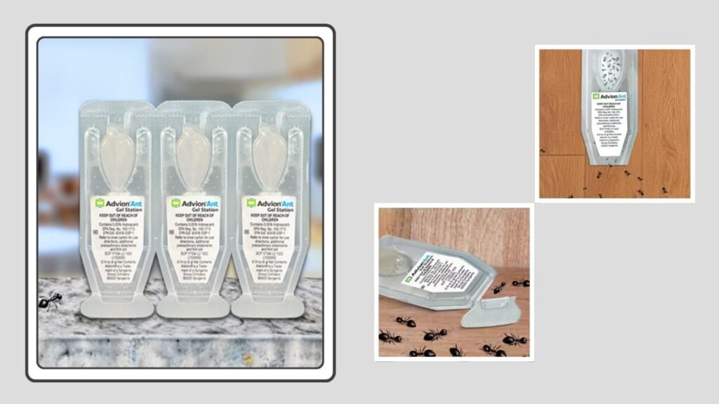 Syngenta Advion Ant Gel Stations with Indoxacarb