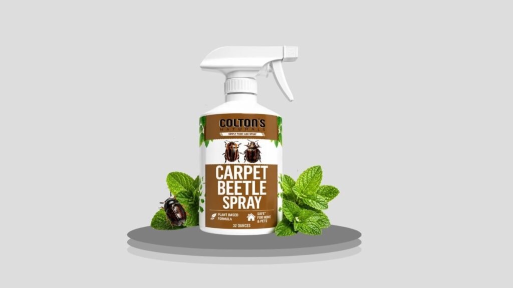 Carpet Beetle Spray for Upholstery – Non-Staining Formula
