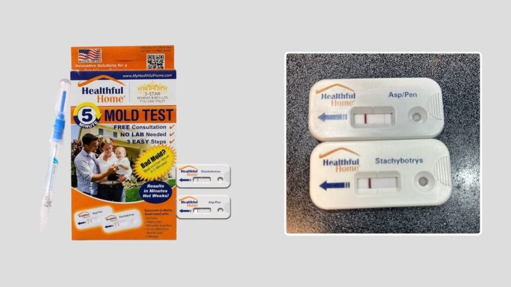 Healthful Home 5-Minute Mold Test Kit